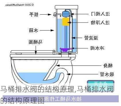 马桶排水阀的结构原理,马桶排水阀的结构原理图